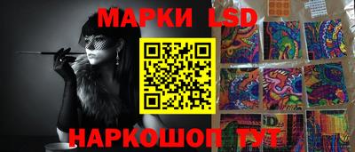 стаф Кимры
