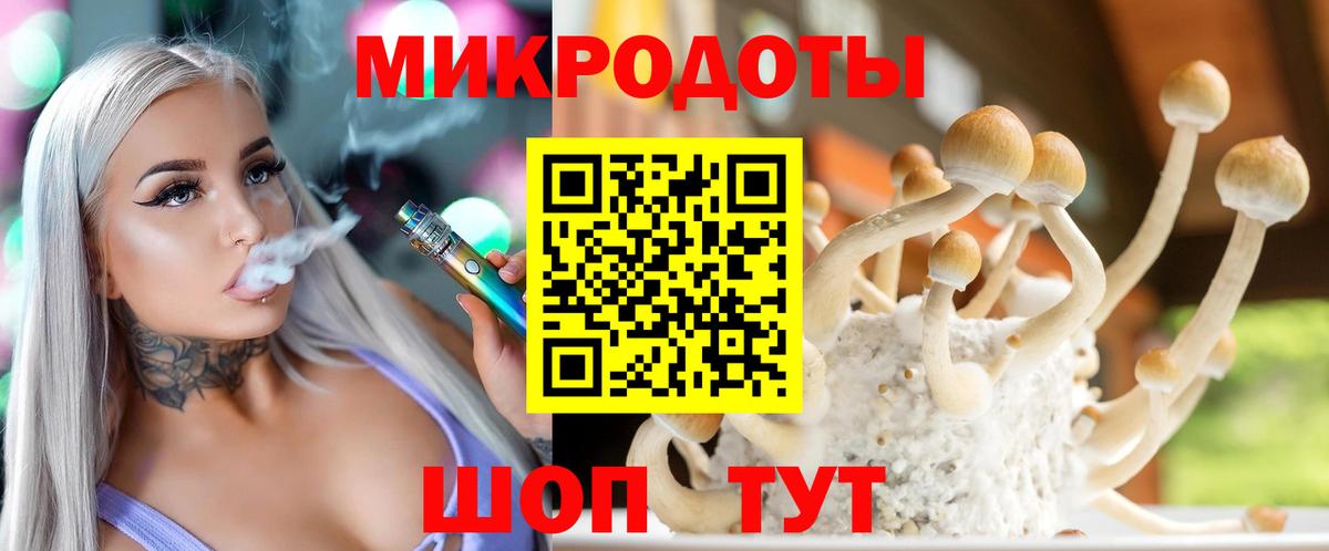 Псилоцибиновые грибы Psilocybe Коломна