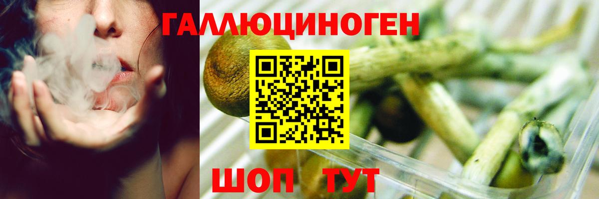 Коломна  Галлюциногенные грибы мицелий  Вход с VPN 